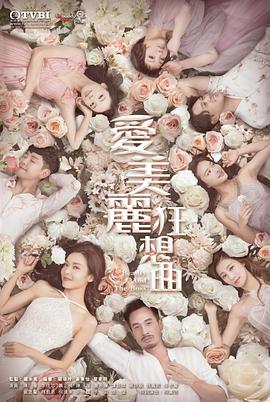 爱美丽狂想曲国语第05集