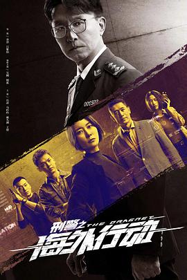 刑警之海外行动第11集