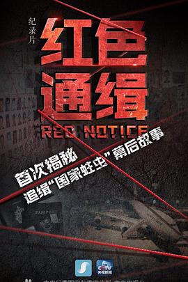 红色通缉第04集