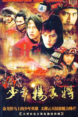 少年杨家将第21集