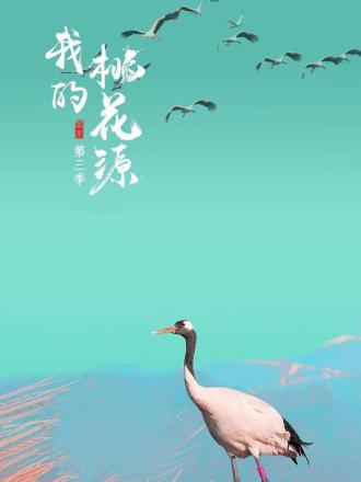 我的桃花源第三季第15期