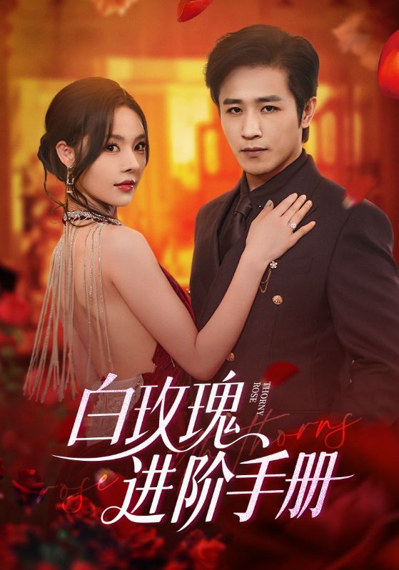 白玫瑰进阶手册第61集