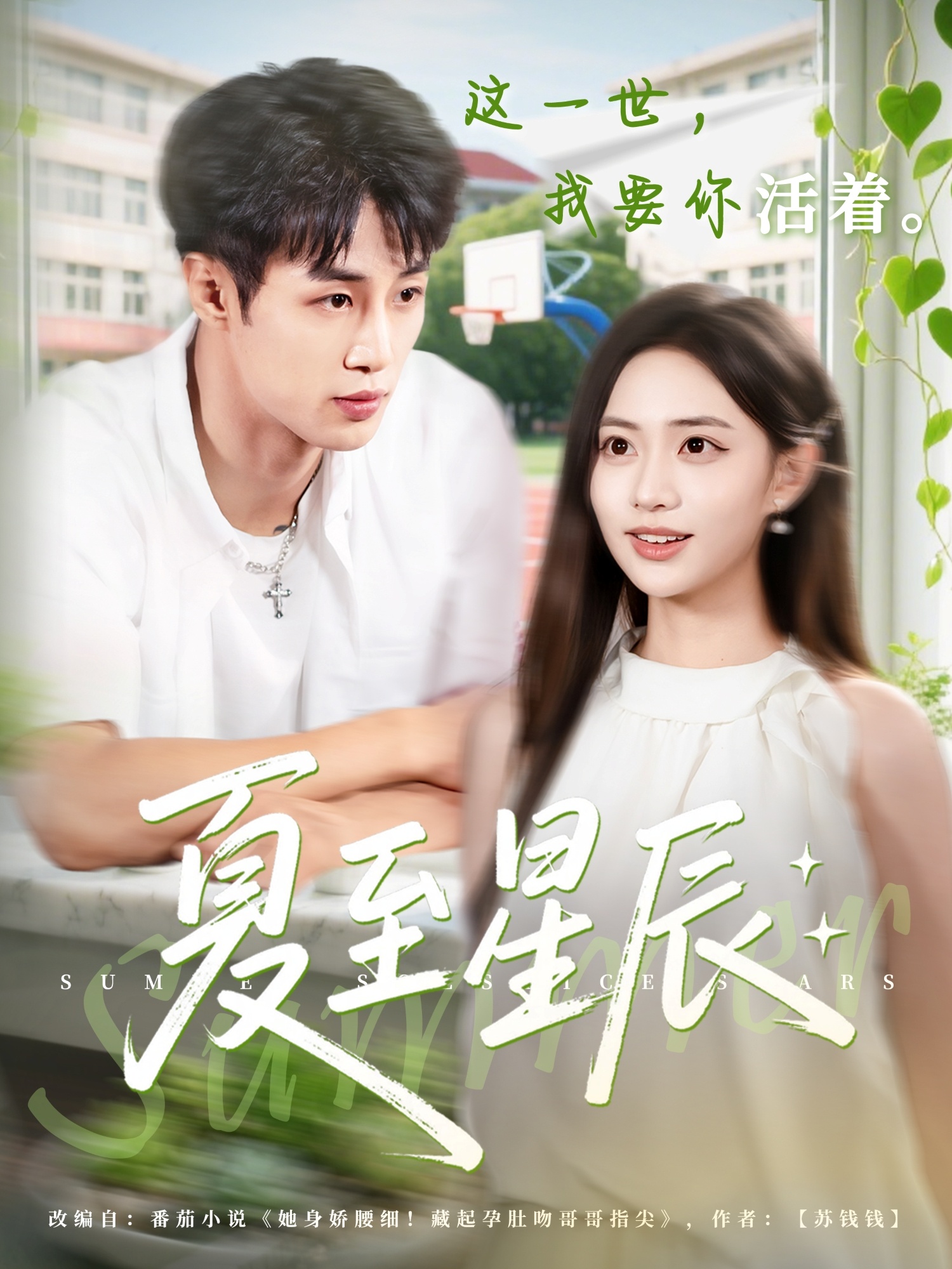 夏至星辰第39集