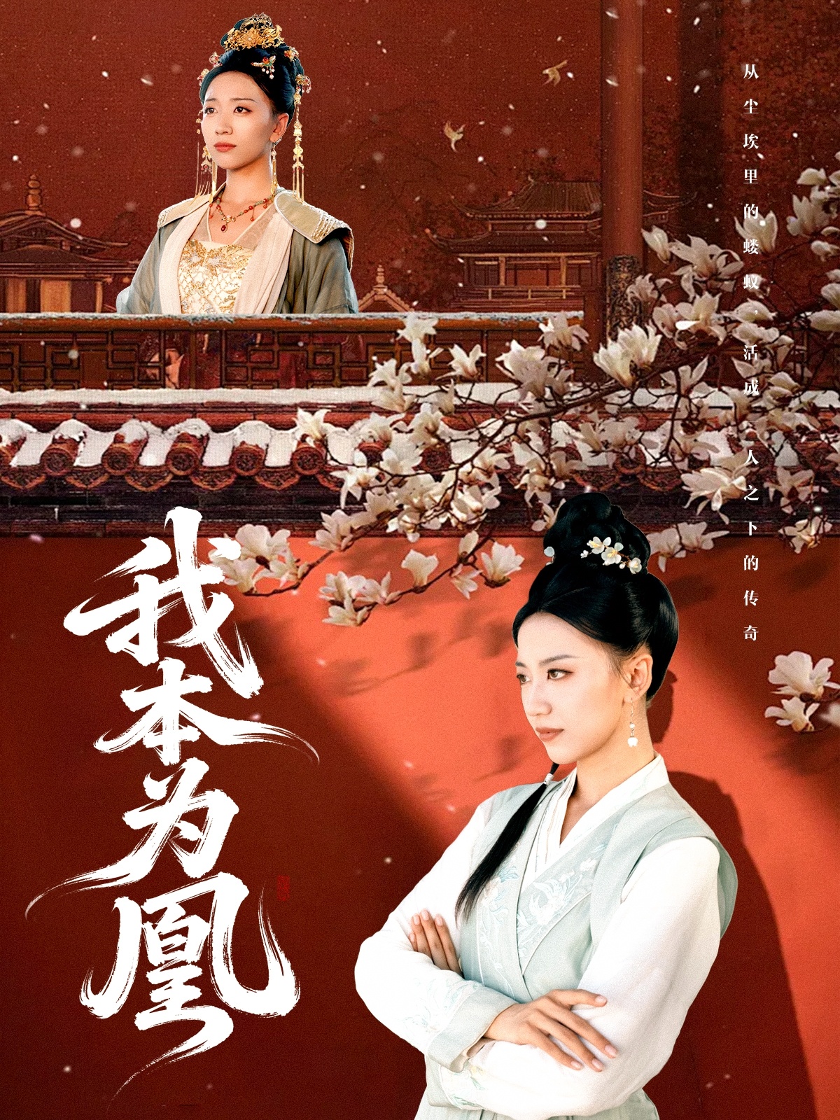 我本为凰第39集