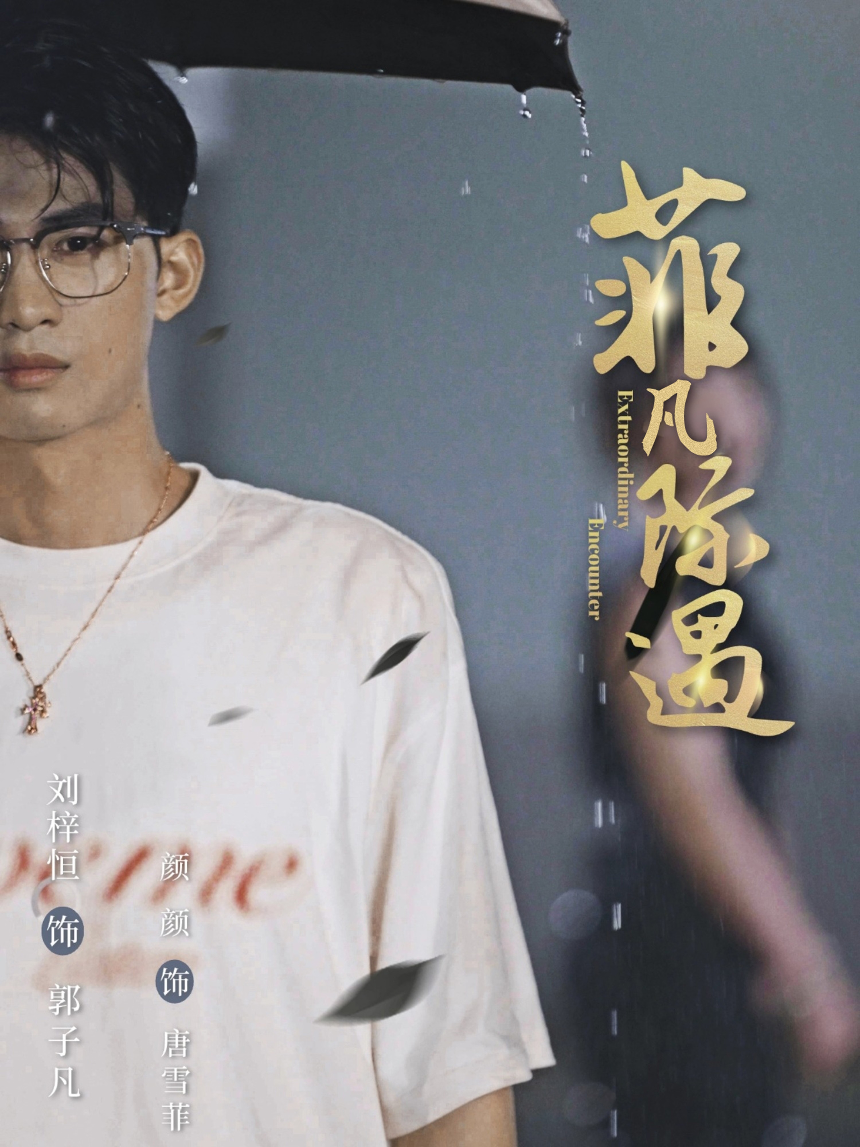菲凡际遇第25集