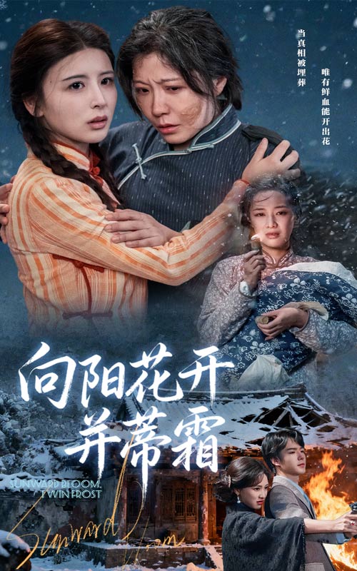 向阳花开并蒂霜第31集