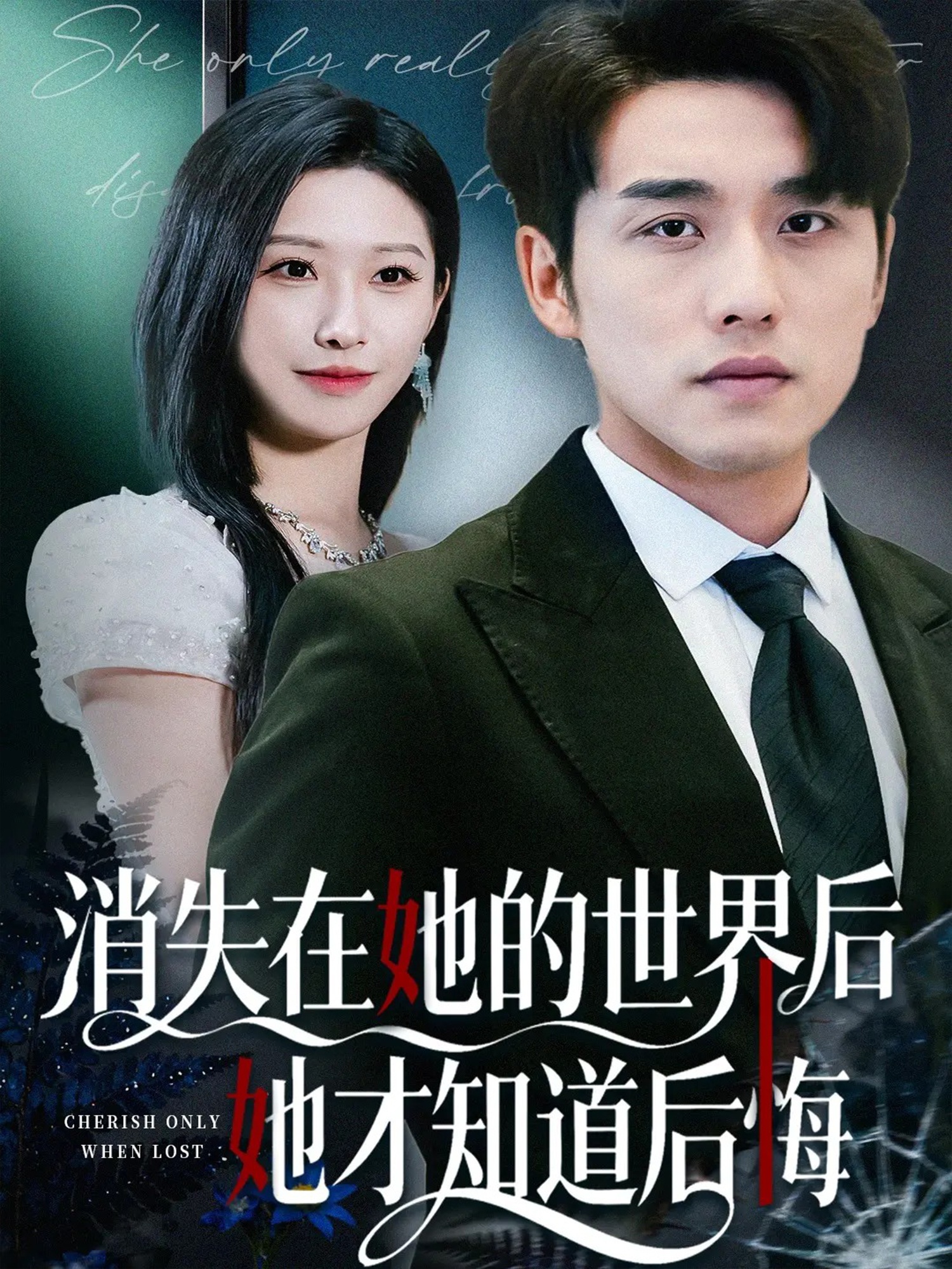消失在她的世界后她才知道后悔第29集