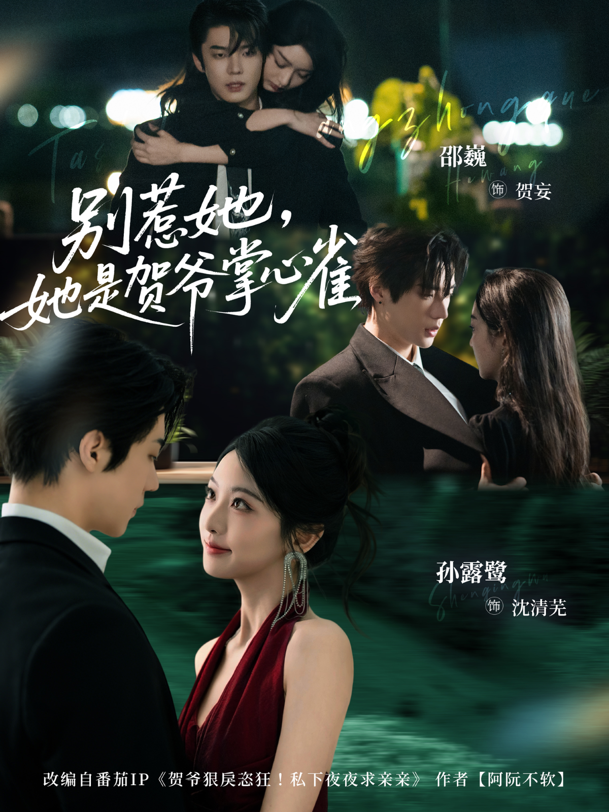 别惹她，她是贺爷掌心雀第01集