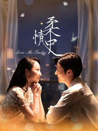 柔情史第19集