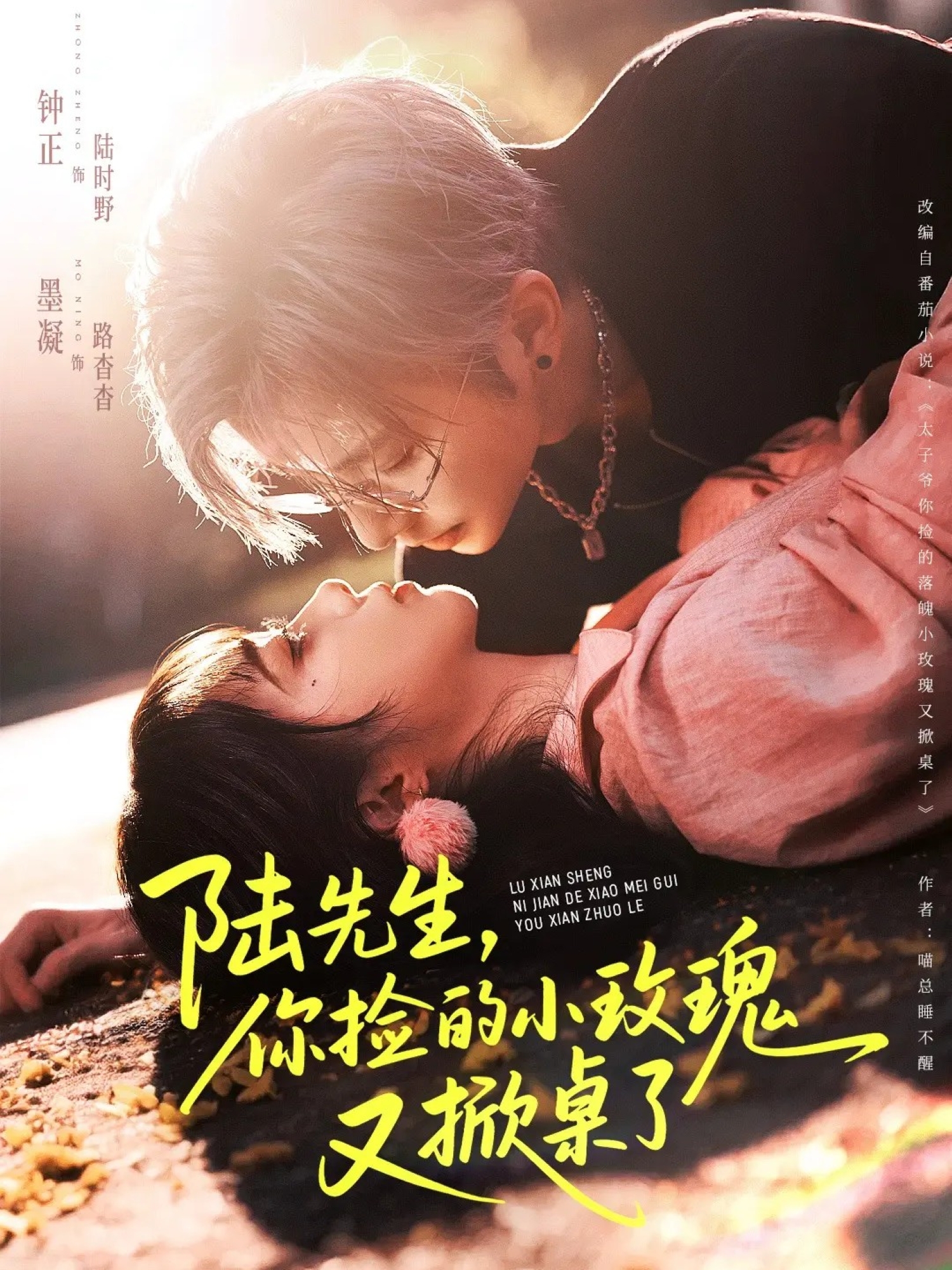 陆先生，你捡的小玫瑰又掀桌了第06集