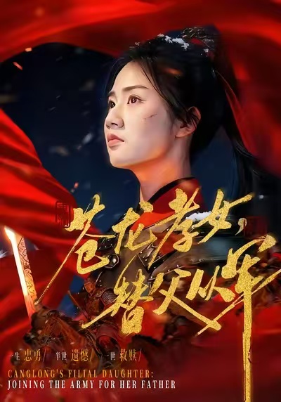 苍龙孝女替父从军第45集