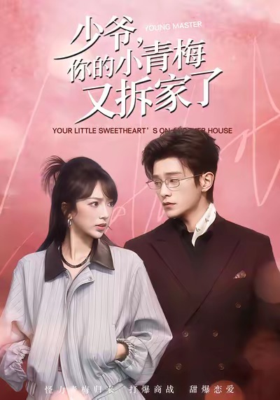 少爷，你的小青梅又拆家了第48集