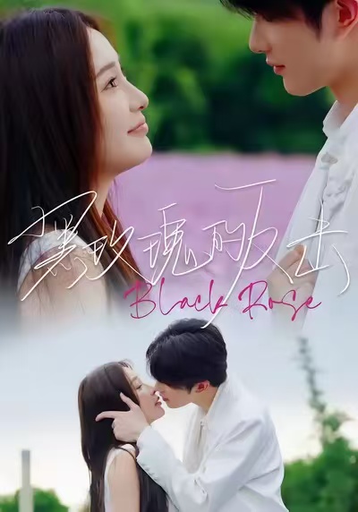 黑玫瑰的反击第01集