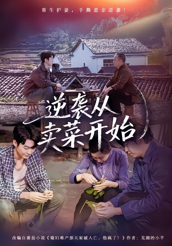逆袭从卖菜开始第16集
