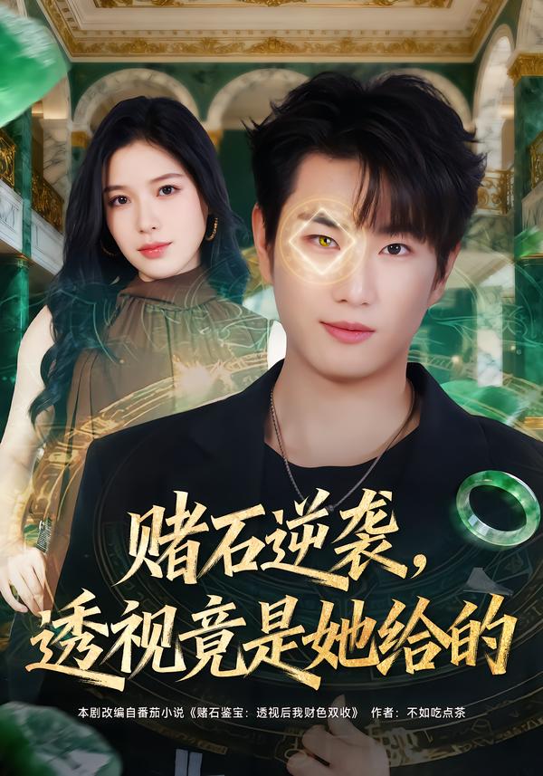 赌石逆袭，透视竟是她给的第18集