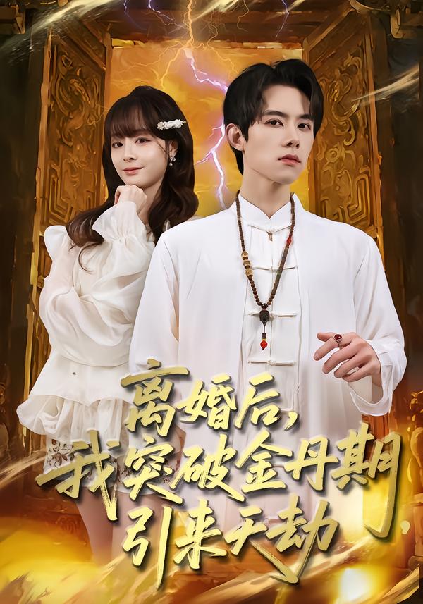 离婚后，我突破金丹期，引来天劫第35集