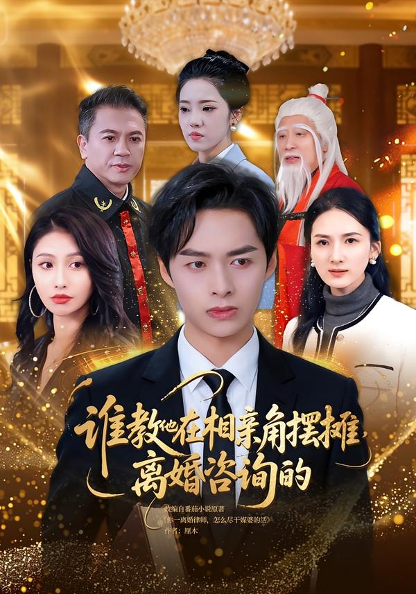 谁教他在相亲角摆摊离婚咨询的第33集