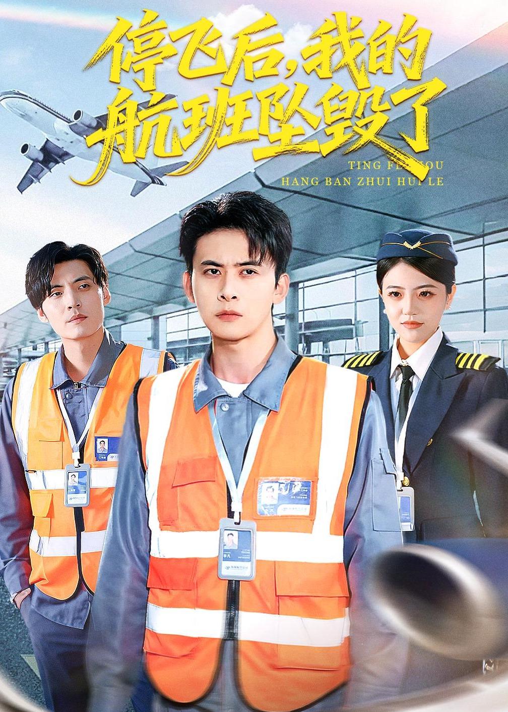 停飞后，我的航班坠毁了第21集