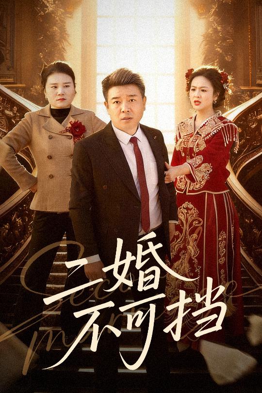 二婚不可挡第29集