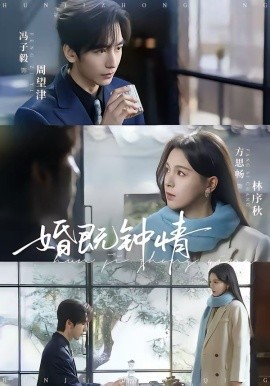 婚既钟情(全集)
