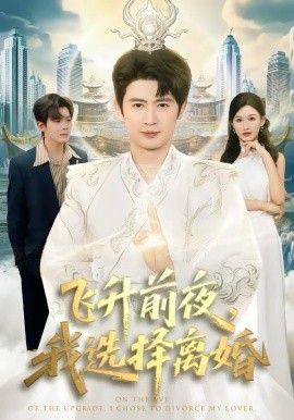 飞升前夜，我选择离婚第01集