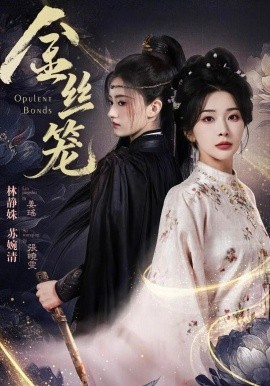 金丝笼第01集