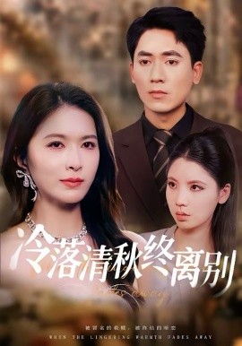 冷落清秋终离别第29集