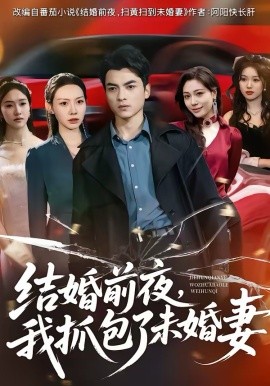 结婚前夜，我抓包了未婚妻第46集