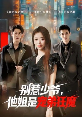 别惹少爷，他姐是宠弟狂魔第04集