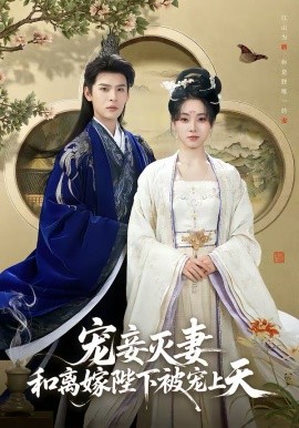 宠妾灭妻，和离嫁陛下被宠上天第01集