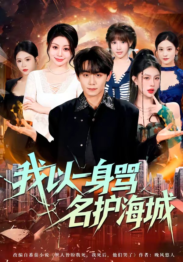 我以一身骂名护海城HD(大结局)