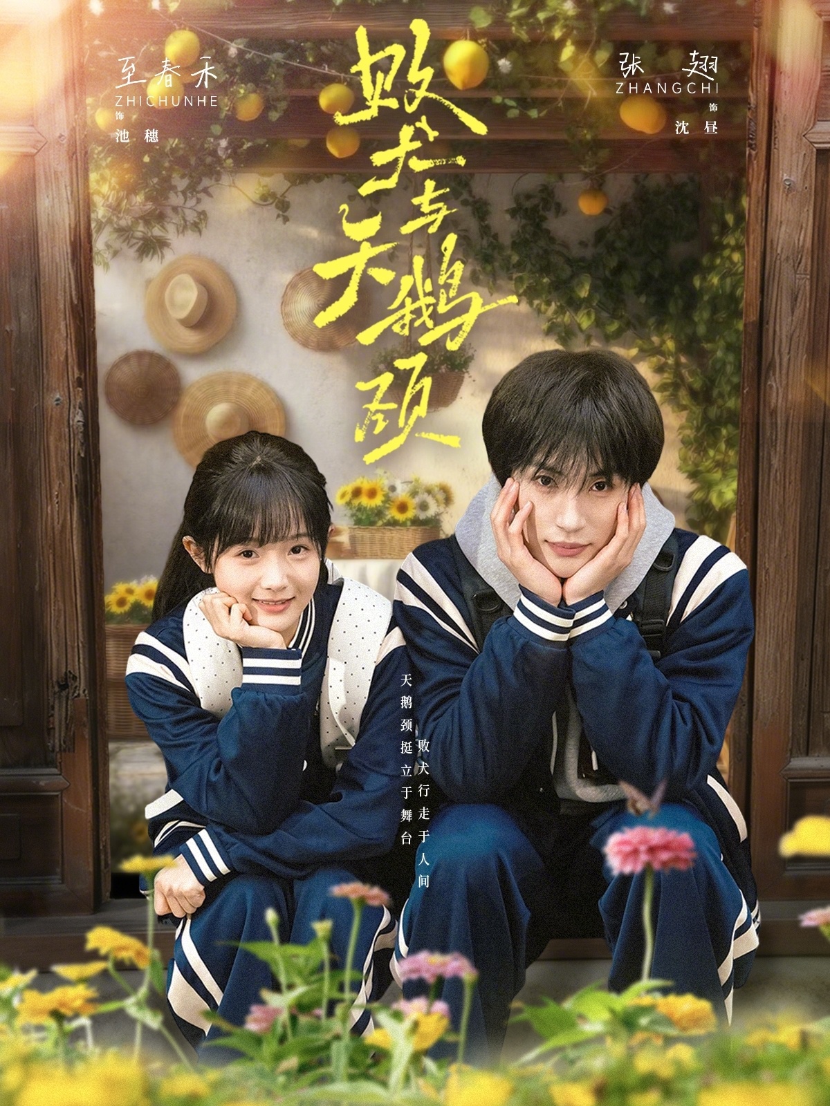 败犬与天鹅颈(全集)
