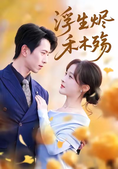 浮生烬禾木殇(全集)