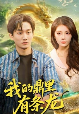 我的鼎里有条龙(全集)